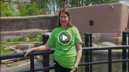 Utica Zoo Tour