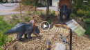 Dino Discovery