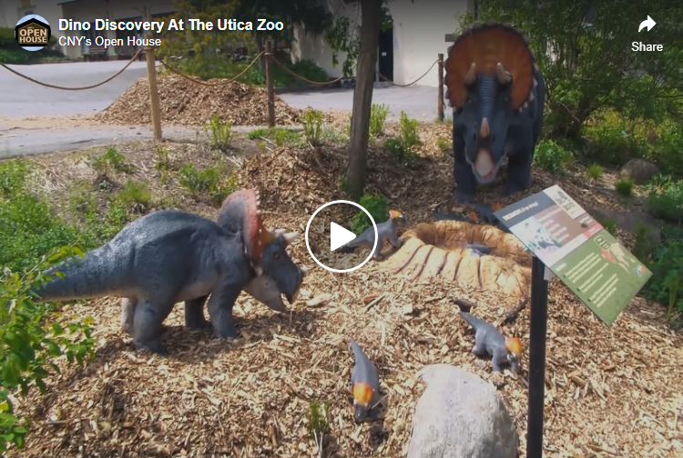 Dino Discovery